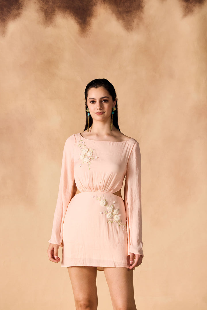 Floral Vine 3D Embroidered Short Dress