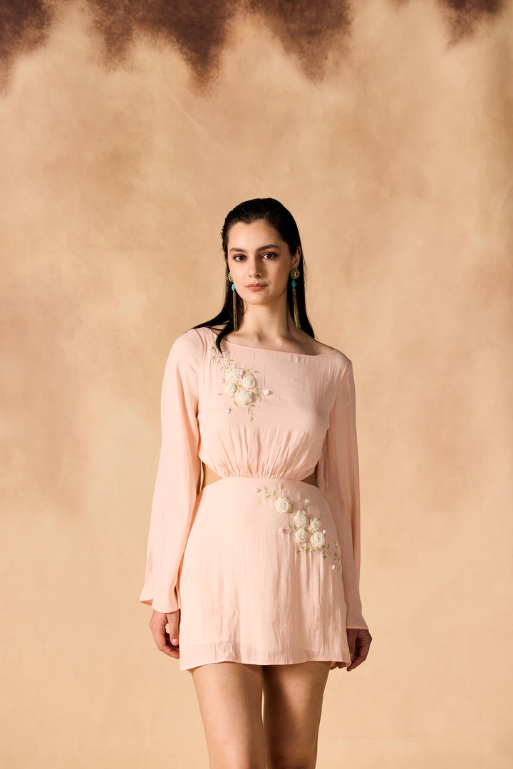 Floral Vine 3D Embroidered Short Dress