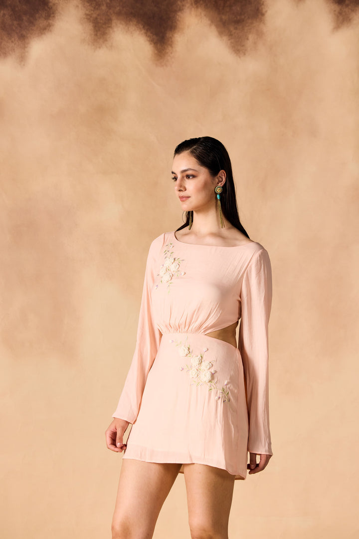 Floral Vine 3D Embroidered Short Dress