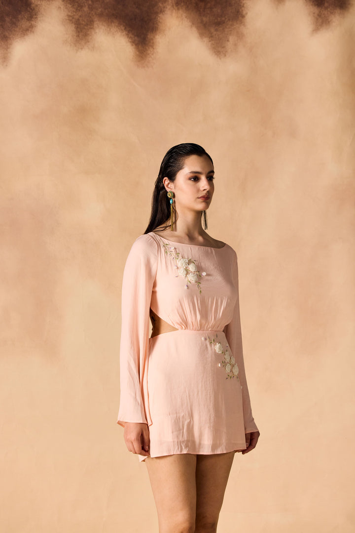 Floral Vine 3D Embroidered Short Dress