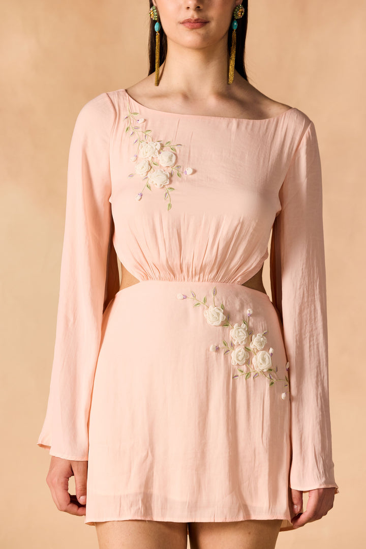 Floral Vine 3D Embroidered Short Dress